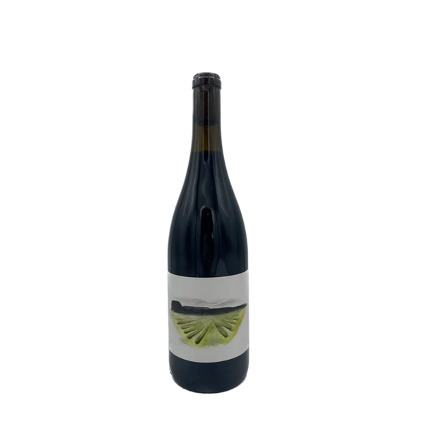 Brij Wines Syrah